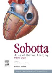 Sobotta Atlas of Human Anatomy, Vol. 2, 15th Edition., English: Internal Organs (Original PDF)