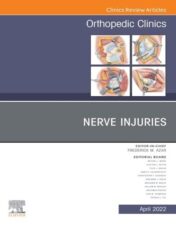 Nerve Injuries, An Issue of Orthopedic Clinics, E-Book (The Clinics: Internal Medicine) 2022 Original PDF