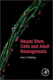 Neural Stem Cells and Adult Neurogenesis (PDF) 2019