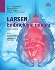 Larsen – Embriologia umana: VI Edizione (Italian Edition) 2022 Epub+ converted pdf
