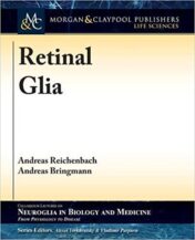 Retinal Glia (PDF) 2015