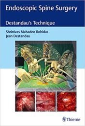 Endoscopic Spine Surgery: Destandau's Technique 1st Edition  2016 original pdf