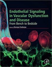 Endothelial Signaling in Vascular Dysfunction and Disease From Bench to Bedside original pdf 2021