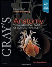 Gray’s Anatomy: The Anatomical Basis of Clinical Practice 42nd Edition True PDF 