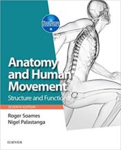 Anatomy and Human Movement: Structure and function (Physiotherapy Essentials), 7th Edition (ORIGINAL PDF)