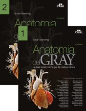Anatomia del Gray Le basi anatomiche per la pratica clinica, 42a edizione (Vol. 1-2) 2022 EPUB & converted pdf