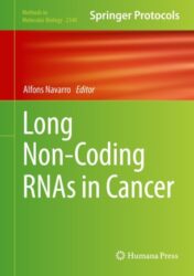 Long Non-Coding RNAs in Cancer 2021 ORIGINAL PDF