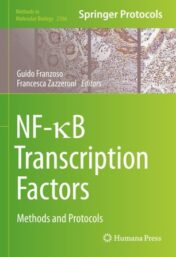 NF-κB Transcription Factors Methods and Protocols 2021 ORIGINAL PDF