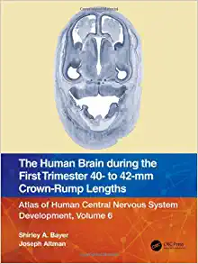 The Human Brain during the First Trimester 40- to 42-mm Crown-Rump Lengths: Atlas of Human Central Nervous System Development, Volume 6 (Original PDF from Publisher)