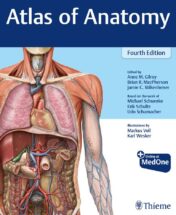 Atlas of Anatomy, 4ed Original PDF  