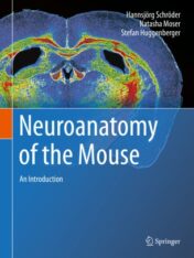 Neuroanatomy of the Mouse An Introduction 2020 ORIGINAL PDF