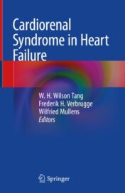 Cardiorenal Syndrome in Heart Failure 2020 ORIGINAL PDF