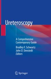 Ureteroscopy A Comprehensive Contemporary Guide 2020 Original pdf