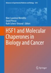 HSF1 and Molecular Chaperones in Biology and Cancer 2020 ORIGINAL PDF