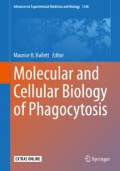Molecular and Cellular Biology of Phagocytosis 2020 Original pdf