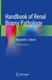 Handbook of Renal Biopsy Pathology 2020  Original pdf