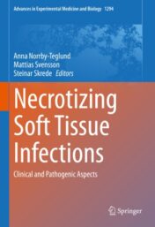 Necrotizing Soft Tissue Infections Clinical and Pathogenic Aspects 2020 Original pdf