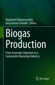 Biogas Production From Anaerobic Digestion to a Sustainable Bioenergy Industry 2020 Original pdf