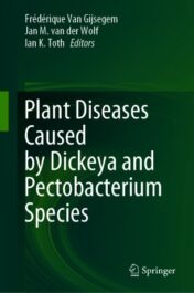 Plant Diseases Caused by Dickeya and Pectobacterium Species 2021 Original pdf