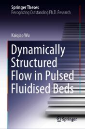 Dynamically Structured Flow in Pulsed Fluidised Beds 2021 Original pdf