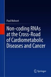 Non-coding RNAs at the Cross-Road of Cardiometabolic Diseases and Cancer 2021 ORIGINAL PDF