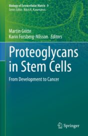 Proteoglycans in Stem Cells From Development to Cancer 2021 Original pdf