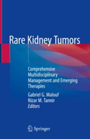 Rare Kidney Tumors Comprehensive Multidisciplinary Management and Emerging Therapies 2019 ORIGINAL PDF