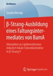 β-Strang-Ausbildung eines Faltungsintermediates von BamA Adsorption an Lipidmembranen induziert lokale Sekundärstruktur in β-Strang 9 2020 Original pdf