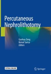 Percutaneous Nephrolithotomy 2020 Original pdf
