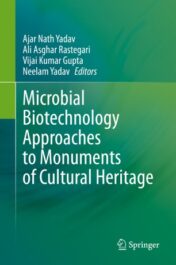 Microbial Biotechnology Approaches to Monuments of Cultural Heritage 2020 Original pdf