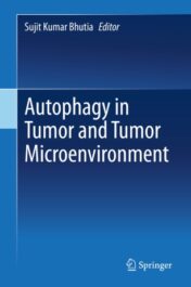Autophagy in tumor and tumor microenvironment 2020 ORIGINAL PDF