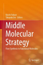 Middle Molecular Strategy Flow Synthesis to Functional Molecules 2021  Original pdf