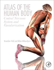 Atlas of the Human Body: Central Nervous System and Vascularization 1st Ed 2017 Original pdf