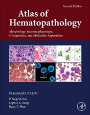 Atlas of Hematopathology: Morphology, Immunophenotype, Cytogenetics, and Molecular Approaches (True PDF)