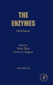 DNA Repair (Volume 45) (The Enzymes, Volume 45)  