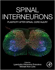 Spinal Interneurons: Plasticity after Spinal Cord Injury (Original PDF from Publisher)