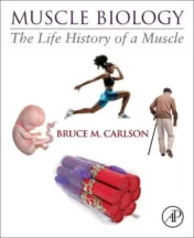 Muscle Biology: The Life History of a Muscle 2021 Original PDF