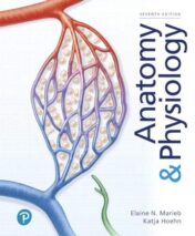 Anatomy & Physiology (Elaine Marieb) (7th Edition) Original PDF