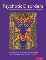 Psychotic Disorders: Comprehensive Conceptualization and Treatments (Original PDF)