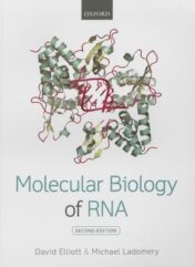 Molecular Biology of RNA 2016 Original pdf