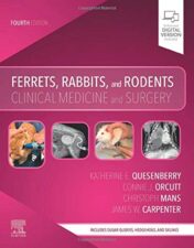 Ferrets, Rabbits, and Rodents: Clinical Medicine and Surgery, 4th Edition (Original PDF)