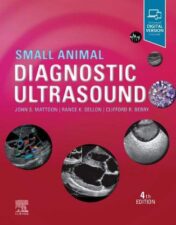 Small Animal Diagnostic Ultrasound, 4th edition (Original PDF)