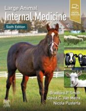 Large Animal Internal Medicine, 6th Edition (Original PDF)