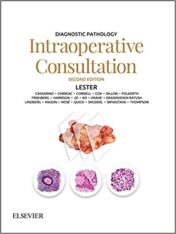 Diagnostic Pathology: Intraoperative Consultation, 2nd Edition (ORIGINAL PDF)