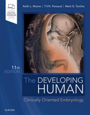 The Developing Human: Clinically Oriented Embryology, 11th Edition (Original PDF)