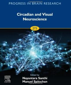 Circadian and Visual Neuroscience (Volume 273) (Progress in Brain Research, Volume 273) (EPUB)