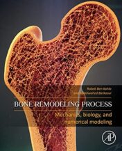 Bone Remodeling Process: Mechanics, Biology, and Numerical Modeling Original PDF 