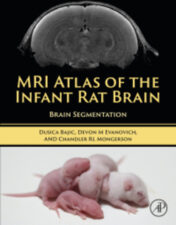 MRI Atlas of the Infant Rat Brain: Brain Segmentation  2022 epub+converted pdf