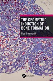 The Geometric Induction of Bone Formation (Original PDF)