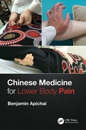 Chinese Medicine for Lower Body Pain (Original PDF)